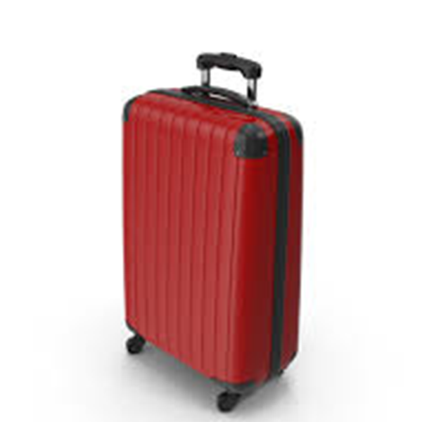 Luxury Travel Bag